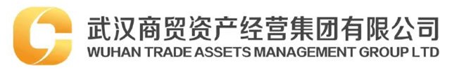 武汉商贸资产经营集团有限公司
