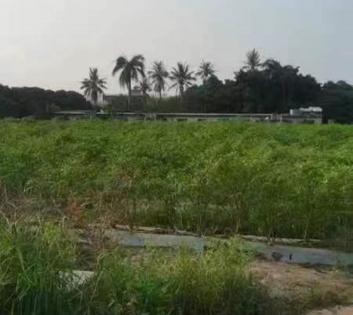 海南翰海项目